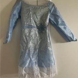 Frozen Elsa costume